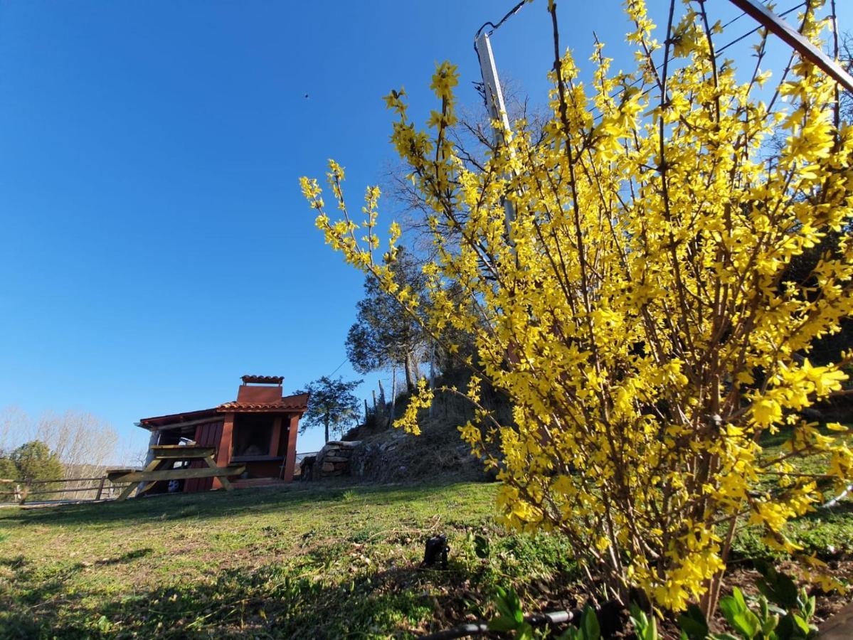 Buenache de la Sierra Casa Rural Manitoba Luxe מראה חיצוני תמונה